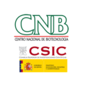 CNB logo 1