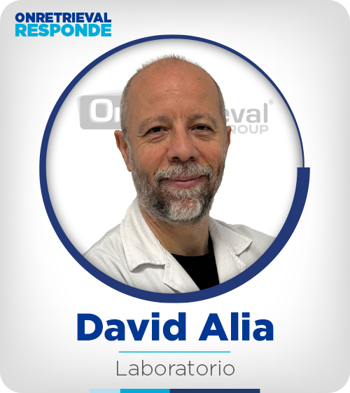 ORG Responde DavidAlia