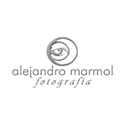alejandro fot logo